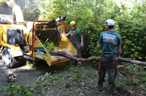 tree services Poway